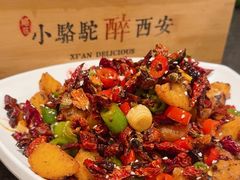 -福苗小骆驼烧烤(曲江店)