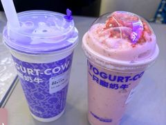 -一只酸奶牛(八一路店)