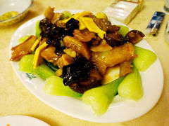蓬莱春-蓬莱春(芝罘店)