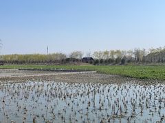 -永定河休闲森林公园