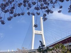 -上海南浦大桥长途旅游客运站