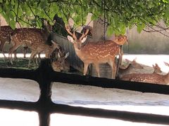 -上海动物园(地铁站)