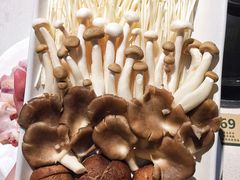 -百年果林椰子鸡(中洲店)