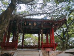 -乌山风景区