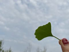 -艾溪湖湿地公园