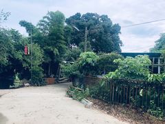 -竹泉农庄·竹筒饭(从化店)