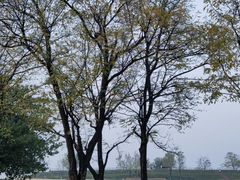 -汉长安城未央宫国家考古遗址公园