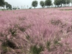 -汉长安城未央宫国家考古遗址公园