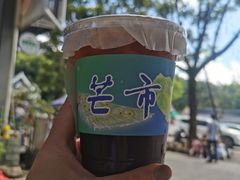 -云南勐巴娜西珍奇园