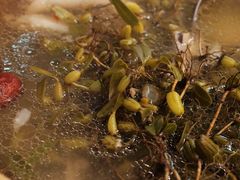 石橄榄炖鸡-洪大厨鸡煲(福田店)