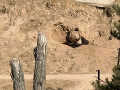 -青藏高原野生动物园