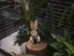 -微山岛春天里酒家