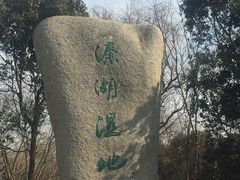 -溱湖国家湿地公园