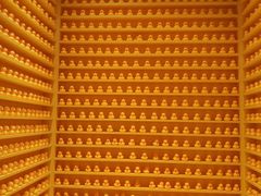 -福州奇幻解压馆(东泰禾旗舰店)