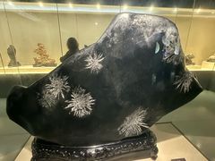 -安徽省地质博物馆