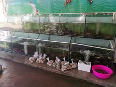 -蚝乡农庄(铁涌赤岸店)