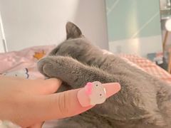 -客栈猫舍(中央北路店)