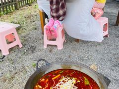 -武陵山森林公园