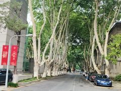 -东南大学(四牌楼校区)