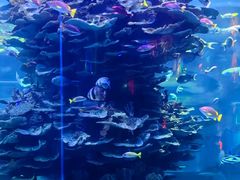 -泉城欧乐堡海洋极地世界