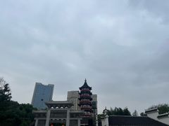 -绳金塔