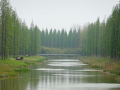 -黄海国家森林公园