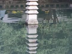 -杭州植物园