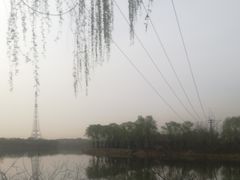 -亲兄弟真人CS团建拓展基地