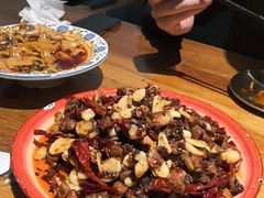 -柴窝堡22号辣子鸡·传承新疆菜