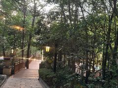 -天目湖涵田半山温泉