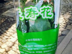 -汇龙潭