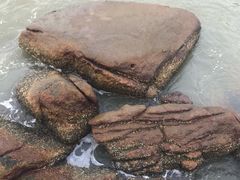 -那琴半岛地质海洋公园