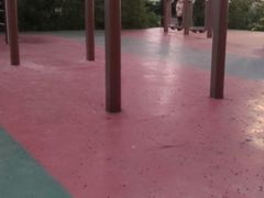 -南宁南湖公园