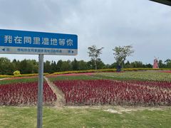 -同里国家湿地公园