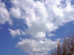 -海尔世界家电博物馆