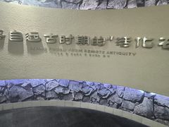 -中国扬子鳄村