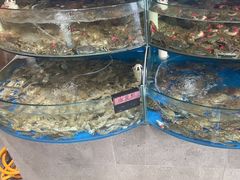 -蓝珊甄选海鲜自助·火锅大排档(近阿那亚店)