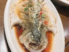 -东口码头·烧鸽子·鱼头泡饼·地方菜(金鹰悦城店)