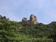 景点-大岭沟猕猴桃谷风景区