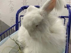 -成都失恋馆