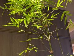 -怡情荟•海鲜青岛菜(五四广场旗舰店)