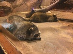 -皇家极地海洋世界-售票处