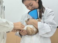 -贝利宠物医院·骨科·眼科·肿瘤转诊中心(南坪诊疗中心)