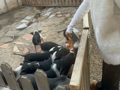 -HERRE·FARM 赫尔露营农场·团建聚会包场