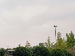 -桂湖森林公园