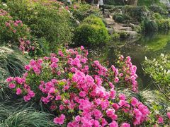 -杭州植物园