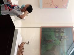 -中国港口博物馆