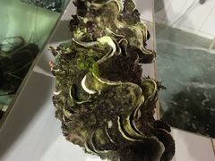 -海盗餐厅