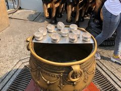 -四面佛
