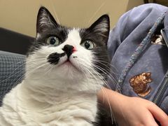 -路易时光(蕴川路店)